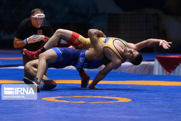 Iran's wrestling Premier League competitions