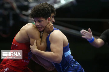 Iran's wrestling Premier League competitions