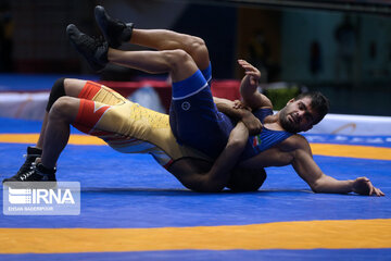 Iran's wrestling Premier League competitions