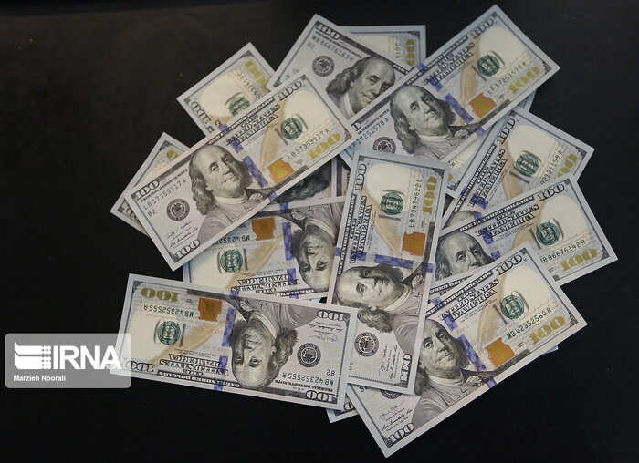 ۶۵ هزار دلار ارز قاچاق در فرودگاه امام (ره) کشف شد