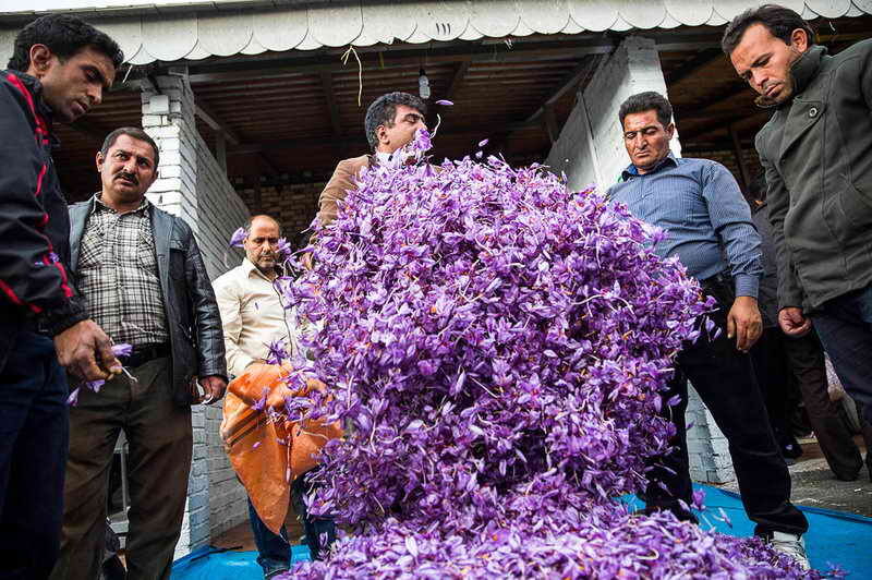 علل خام‌فروشی زعفران تربت‌حیدریه و راهکارهای رفع آنها  