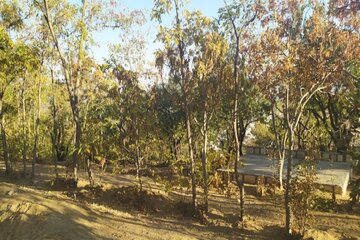 Colorful autumn in southwestern Iran