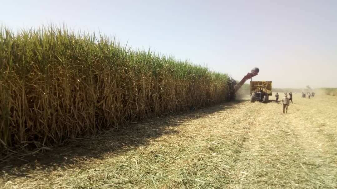 وزیرجهاد کشاورزی: نگاه ویژه‌ای به کشاورزی خوزستان خواهیم داشت