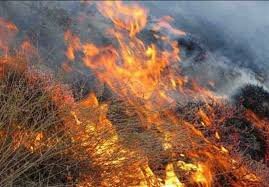 آتش سوزی در جنگل‌ها و مراتع پلدختر