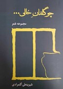 انتشار مجموعه شعر «چو گلدانِ خالی...» به یاد «قیصر امین‌پور»