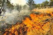 ۳۰ پرونده آتش‌سوزی مراتع در خراسان شمالی تشکیل شد