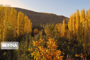 Nature in fall in northwest Iran