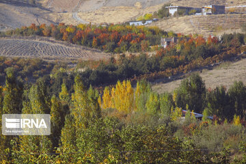 Nature in fall in northwest Iran