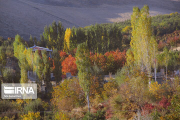 Nature in fall in northwest Iran