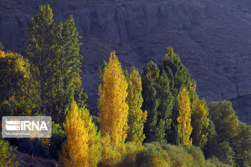 Nature in fall in northwest Iran