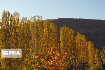 Nature in fall in northwest Iran