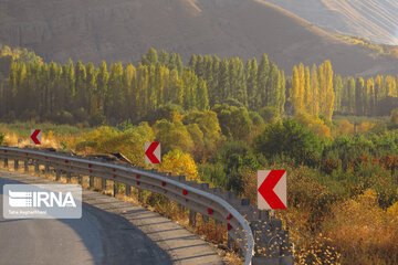 Nature in fall in northwest Iran