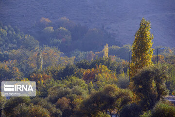 Nature in fall in northwest Iran