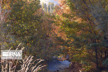 Nature in fall in northwest Iran