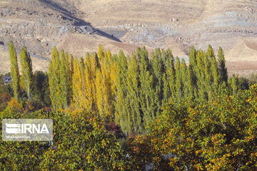 Nature in fall in northwest Iran