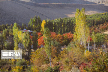 Nature in fall in northwest Iran