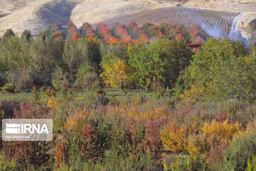 Nature in fall in northwest Iran