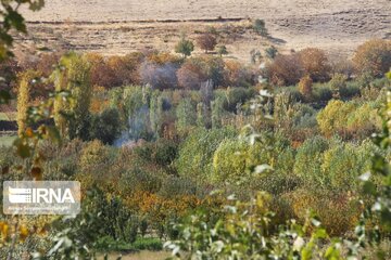 Village in western Iran hosts colorful autumn