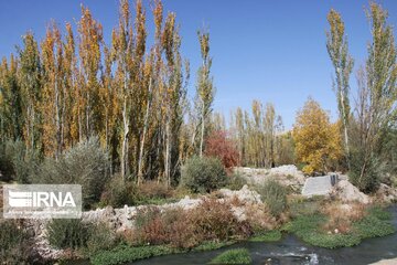 Village in western Iran hosts colorful autumn