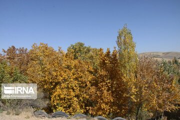 Village in western Iran hosts colorful autumn