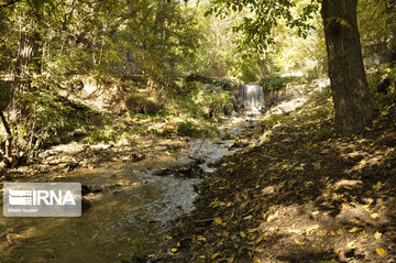 Fall swaggers in northern Iran