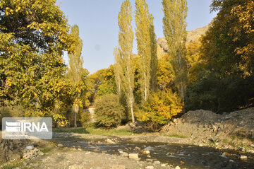 Fall swaggers in northern Iran