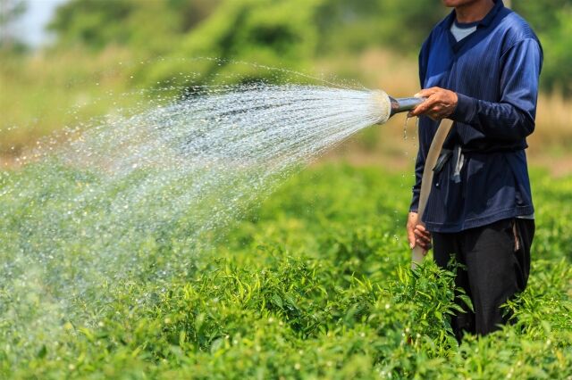 FAO boosts Iranian experts’ knowledge of agricultural water saving ...