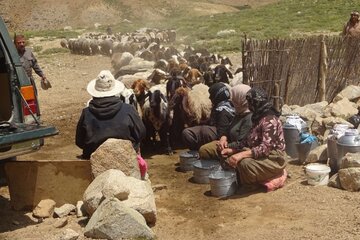 هشت هزار خانوار عشایری لرستان بیمه اجتماعی دارند