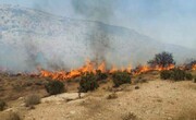 آتش‌سوزی‌ حیات ارس‌های خراسان شمالی را تهدید می‌کند