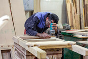 کارگاه‌های مصرف کننده چوب در مازندران ساماندهی می‌شوند 