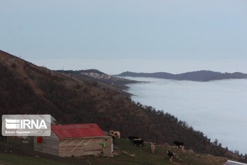 Dream road of Asalem-Khalkhal