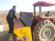 گلایه گندمکاران شرق مازندران نسبت به خسارت ناشی از توزیع بذر نامرغوب 