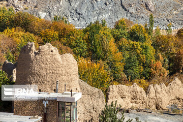 Autumn beauties of southwestern Iran; Saman County