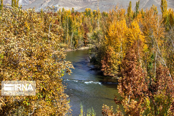 Autumn beauties of southwestern Iran; Saman County