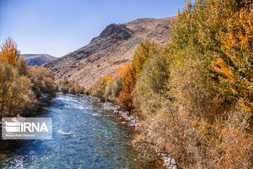 Autumn beauties of southwestern Iran; Saman County