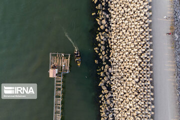 Anzali Port beauties in northern Iran