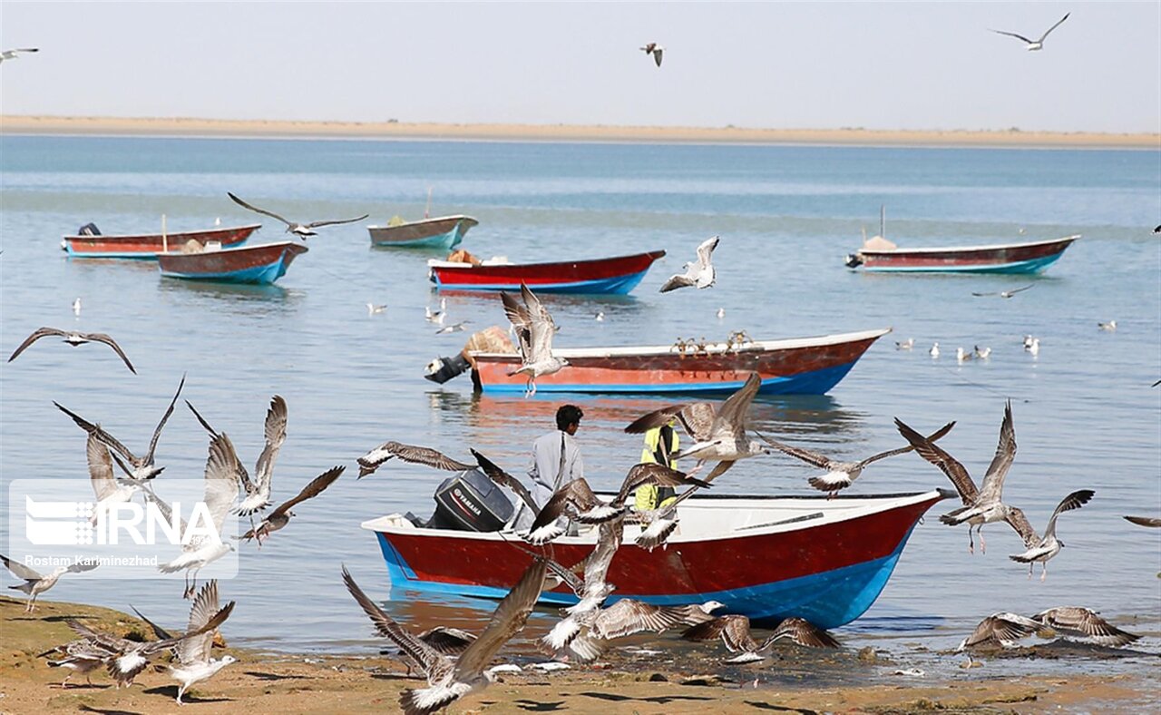 صید با قلاب، ظرفیتی برای افزایش اشتغال در سواحل مکران