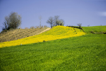 روز مازندران