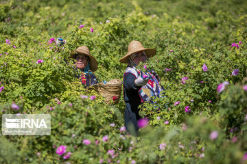 Eye-catching beauties of Mazandaran Province in northern Iran