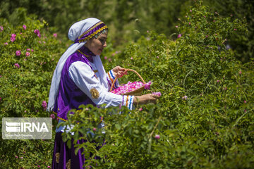 Eye-catching beauties of Mazandaran Province in northern Iran