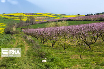 Eye-catching beauties of Mazandaran Province in northern Iran