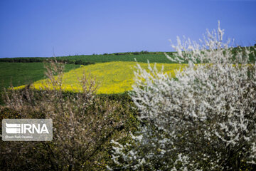 Eye-catching beauties of Mazandaran Province in northern Iran