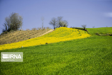 Eye-catching beauties of Mazandaran Province in northern Iran