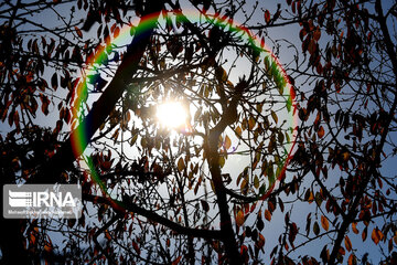 Autumn in suburb of Mashad, northeastern Iran