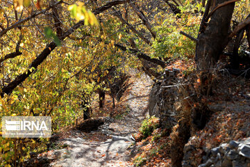 Autumn in suburb of Mashad, northeastern Iran