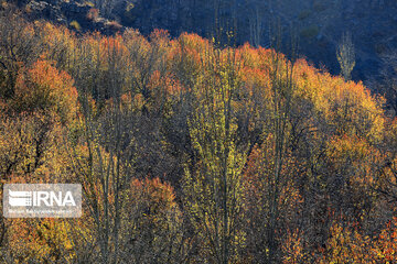 Autumn in suburb of Mashad, northeastern Iran