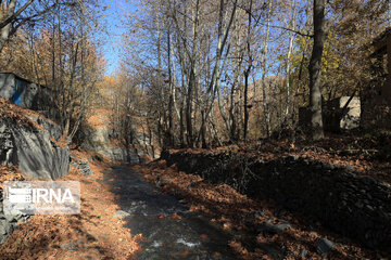 Autumn in suburb of Mashad, northeastern Iran