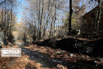 Autumn in suburb of Mashad, northeastern Iran