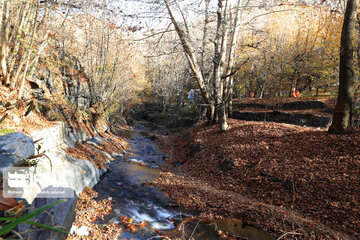 Autumn in suburb of Mashad, northeastern Iran