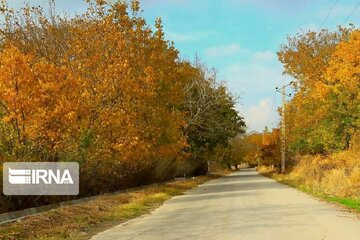 Autumn beauties in Miandoab County northwestern Iran